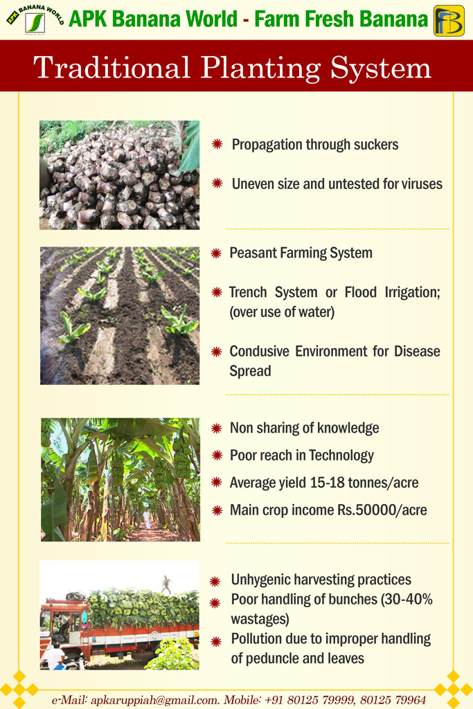 TNAU Agritech Portal Banana Growers Association
